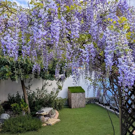 La Casa Del Glicine Marrùbiu