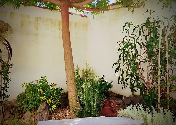 La Casa Del Glicine *